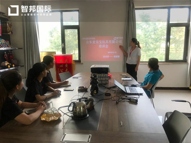 山东麦乐宝玩具有限公司智邦国际ERP实施现场