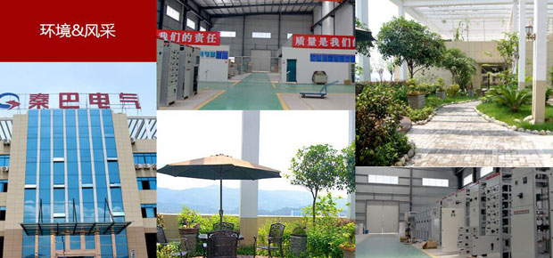 四川秦巴电气有限责任公司