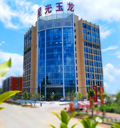 星光玉龙机械（湖北）有限公司