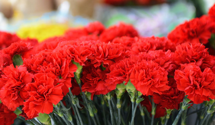 母亲节：致敬母亲，大声告白！