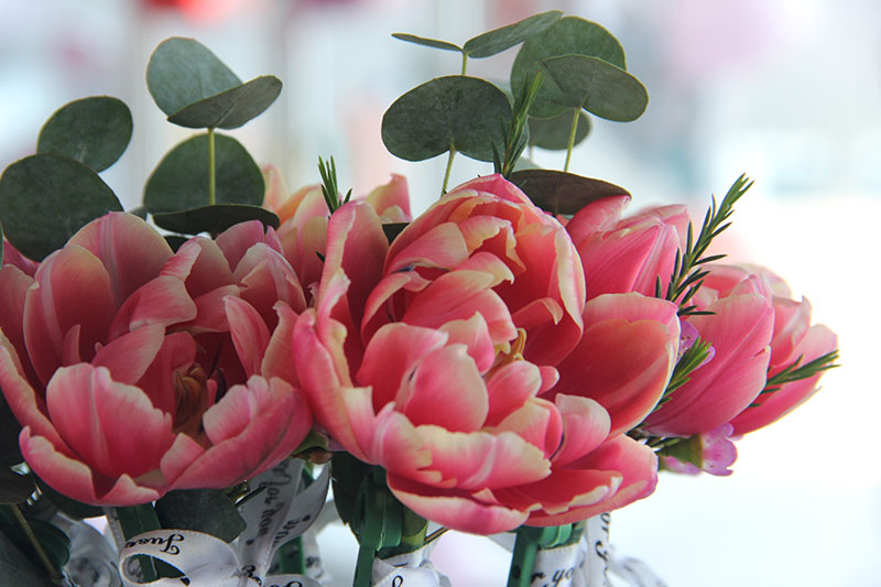 致最美女神:不负芳华,不负青春,最爱是你!