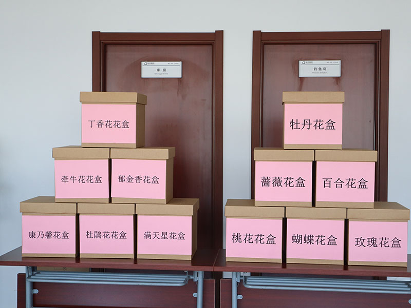 致最美女神:不负芳华,不负青春,最爱是你!