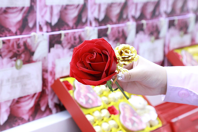 致天下所有女神:无限可能,终身美丽,女神节快乐! 致天下所有女神:无限可能,终身美丽,女神节快乐!